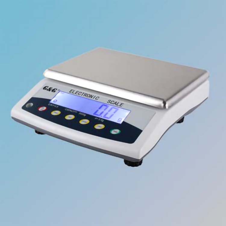 G&G E-KY series electronic scale