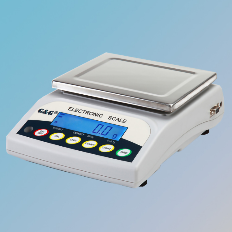 G&G E-Y series electronic scale