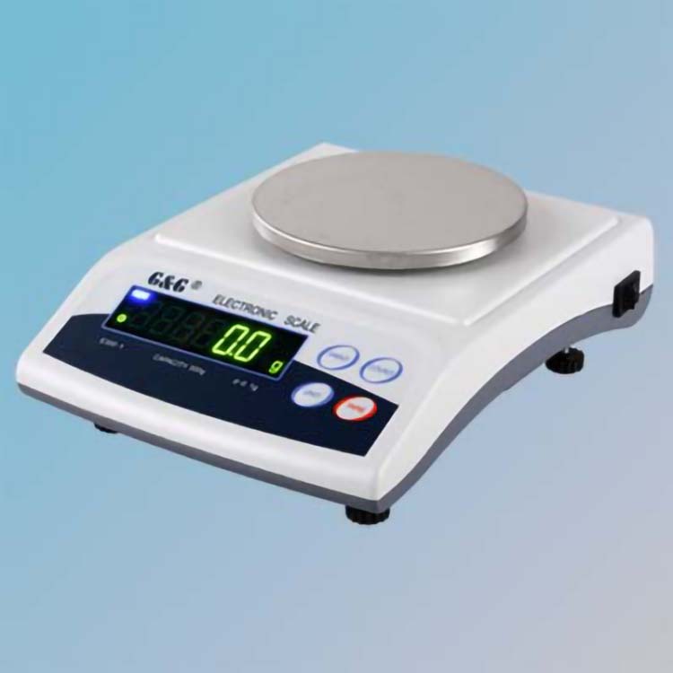 G&G E series electronic scale