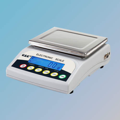 G&G E-Y series electronic scale